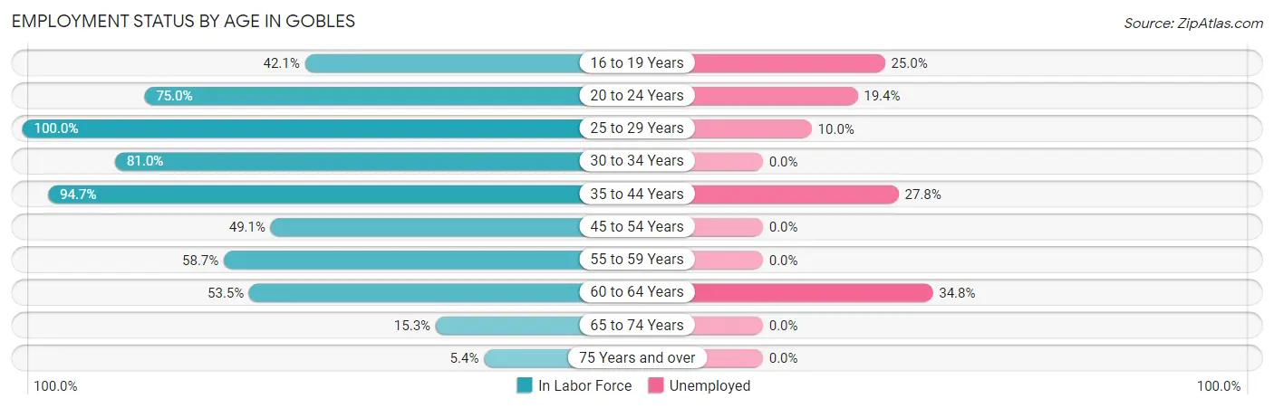 Employment Status by Age in Gobles
