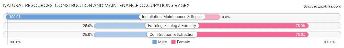 Natural Resources, Construction and Maintenance Occupations by Sex in Gobles