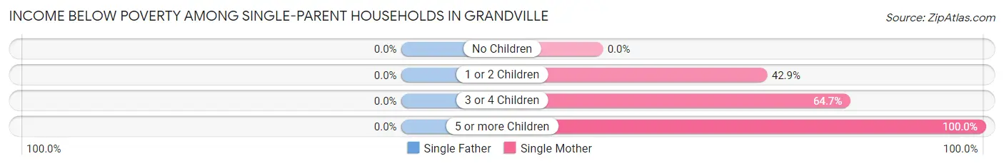 Income Below Poverty Among Single-Parent Households in Grandville