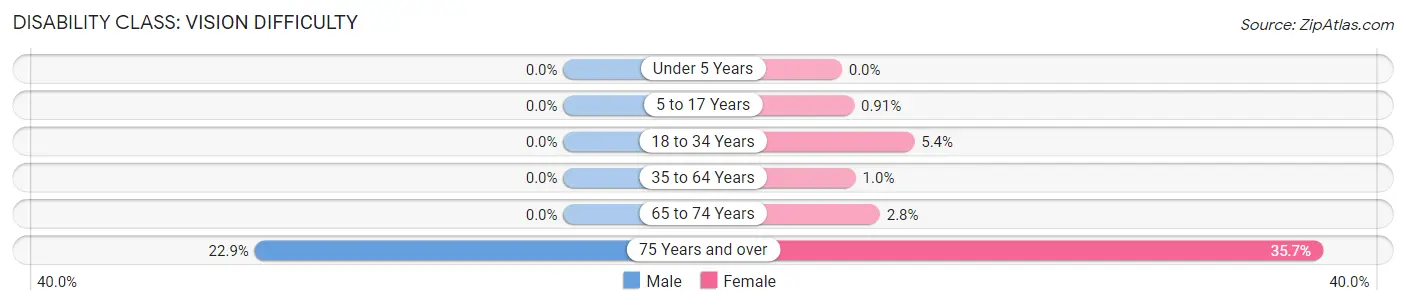 Disability in Grant: <span>Vision Difficulty</span>