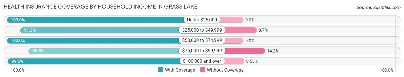 Health Insurance Coverage by Household Income in Grass Lake