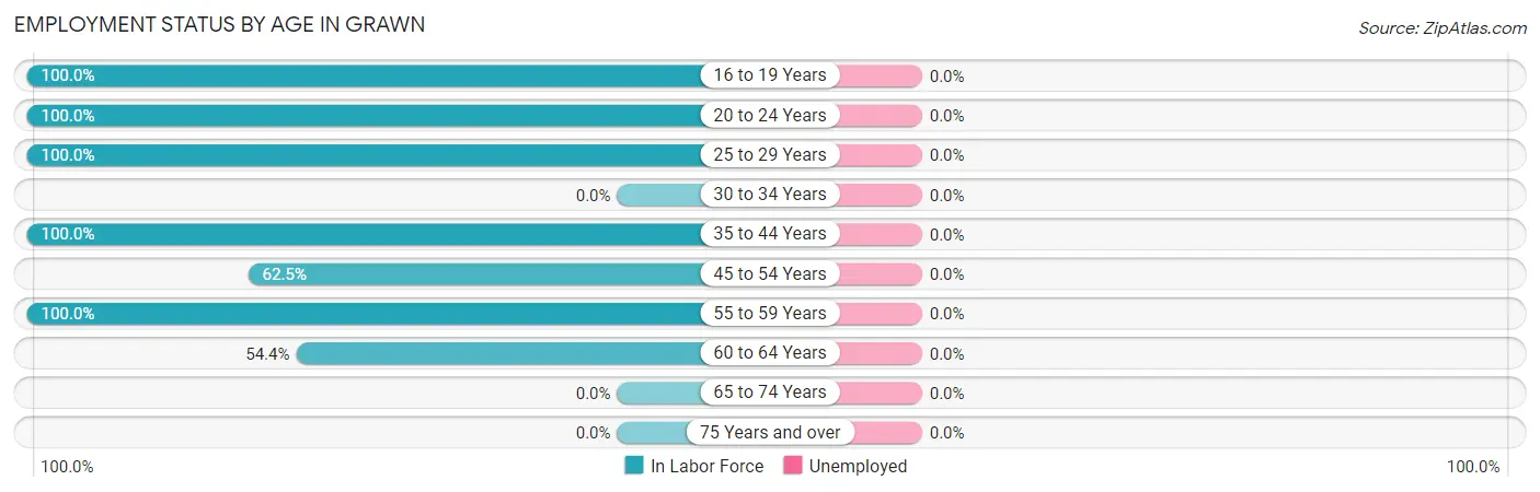 Employment Status by Age in Grawn