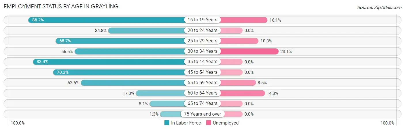 Employment Status by Age in Grayling