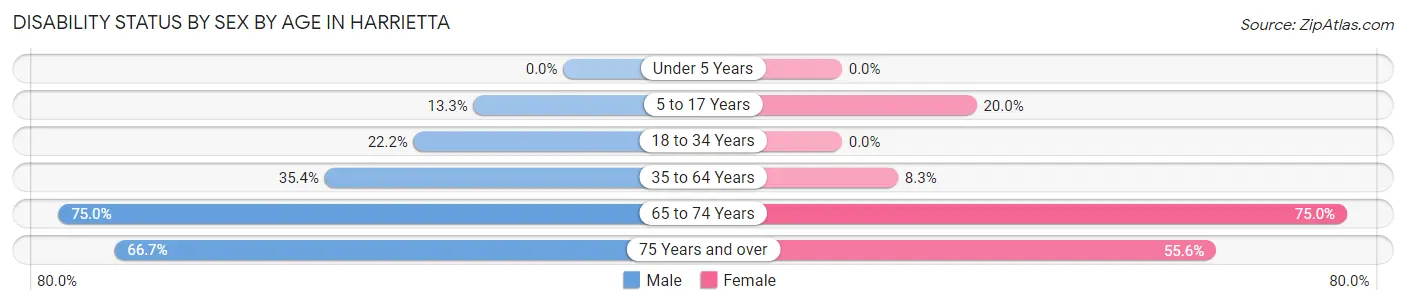 Disability Status by Sex by Age in Harrietta