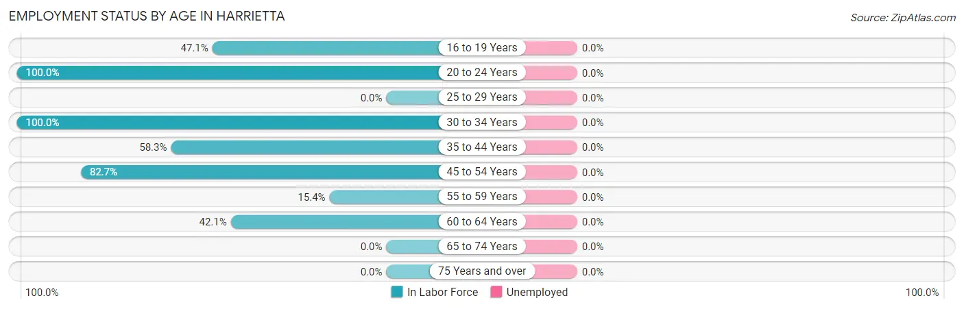 Employment Status by Age in Harrietta