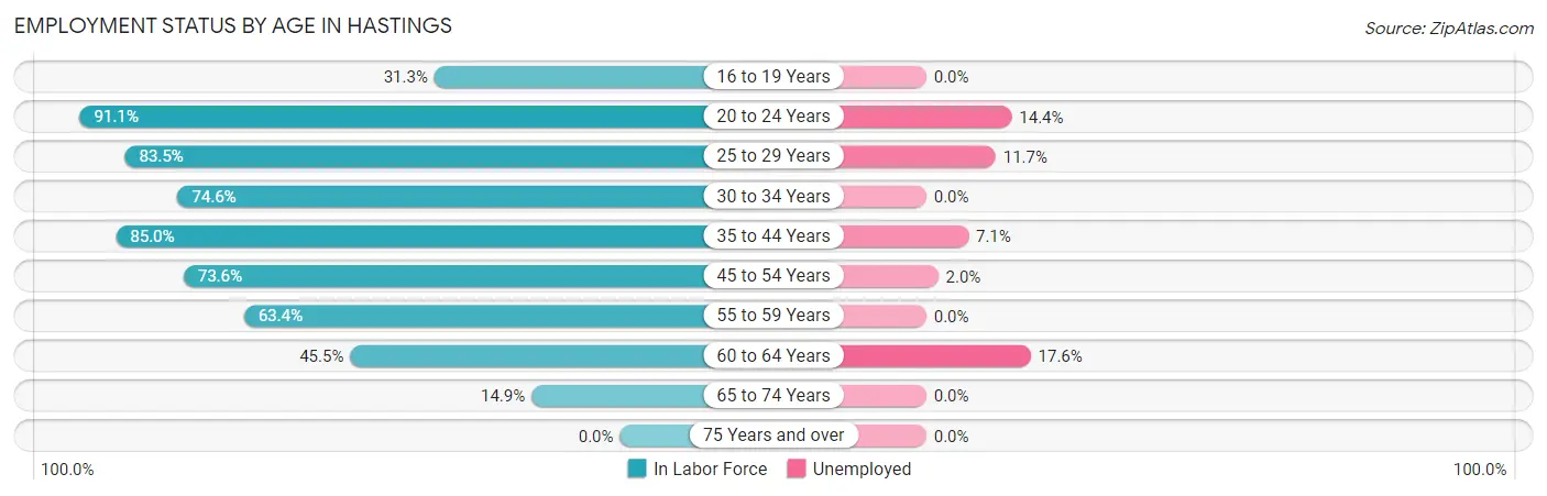 Employment Status by Age in Hastings