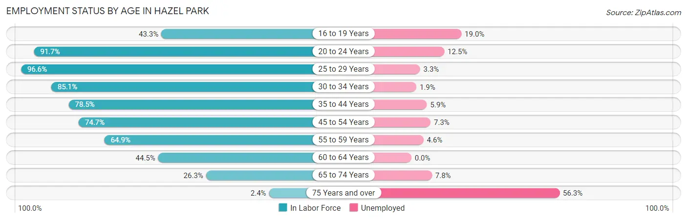 Employment Status by Age in Hazel Park