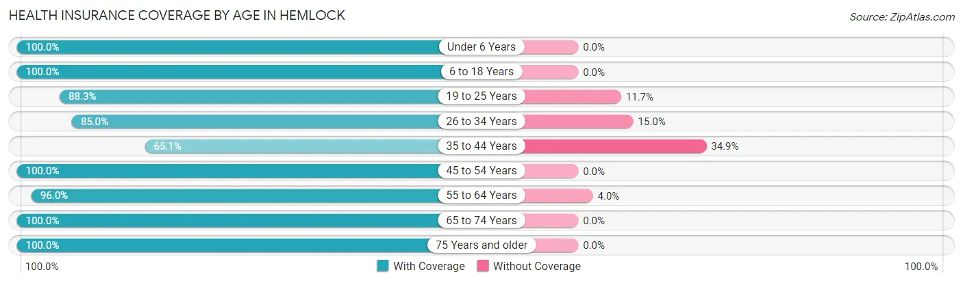 Health Insurance Coverage by Age in Hemlock