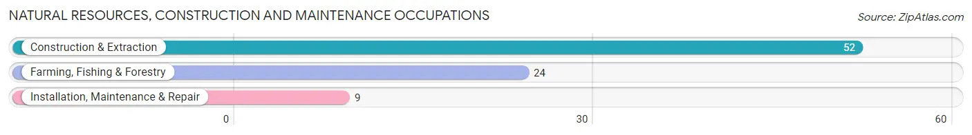 Natural Resources, Construction and Maintenance Occupations in Hemlock