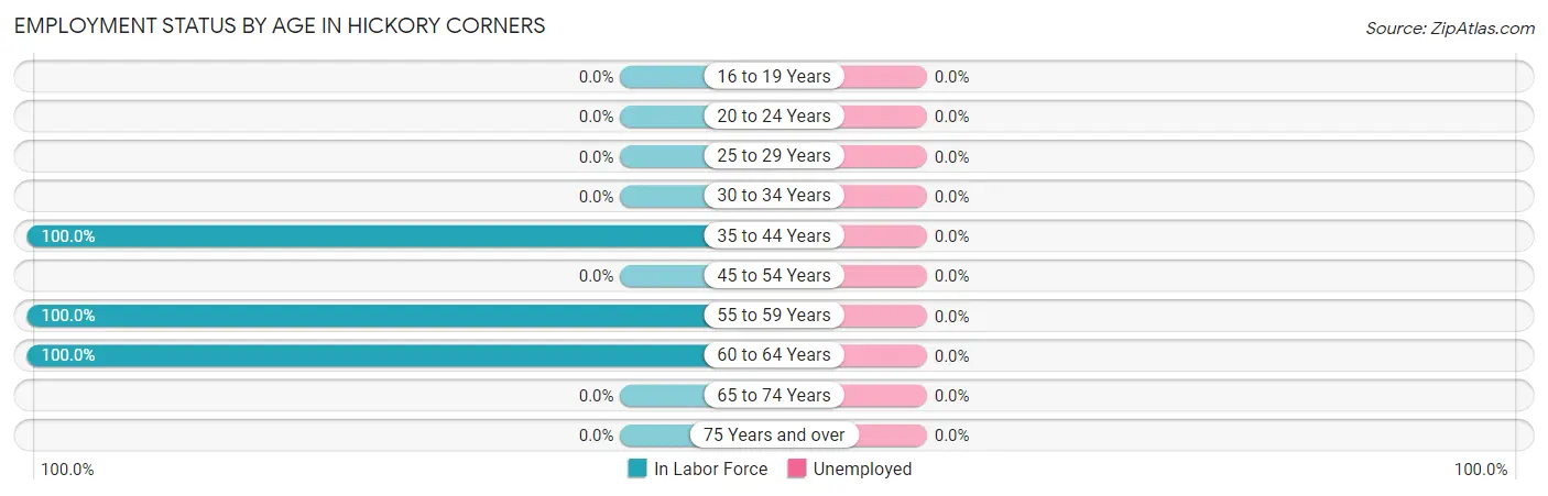 Employment Status by Age in Hickory Corners