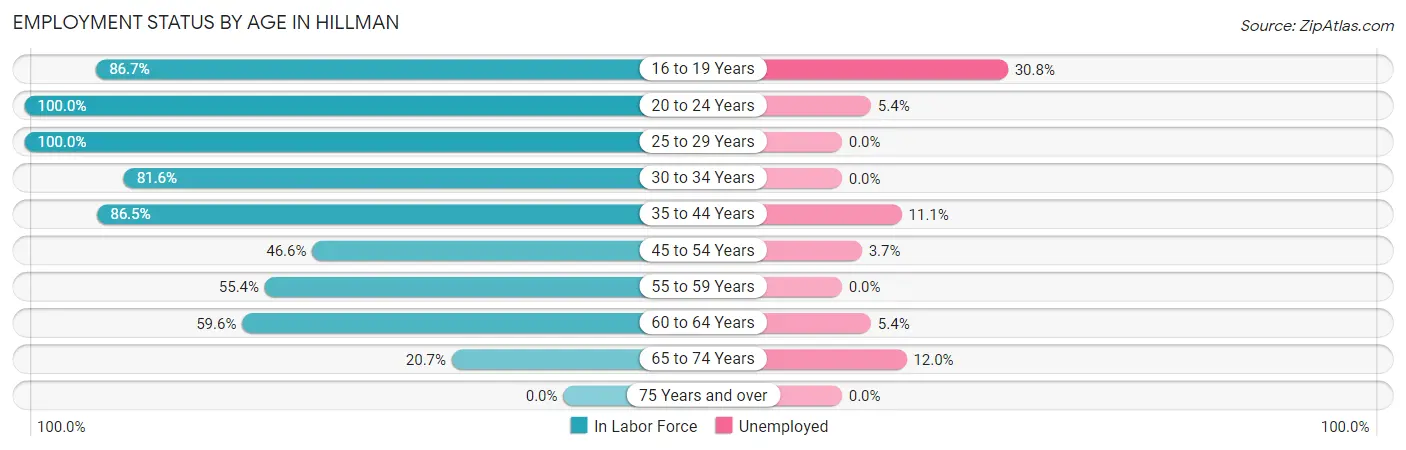 Employment Status by Age in Hillman