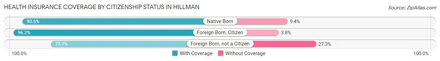 Health Insurance Coverage by Citizenship Status in Hillman