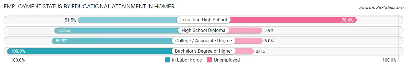 Employment Status by Educational Attainment in Homer