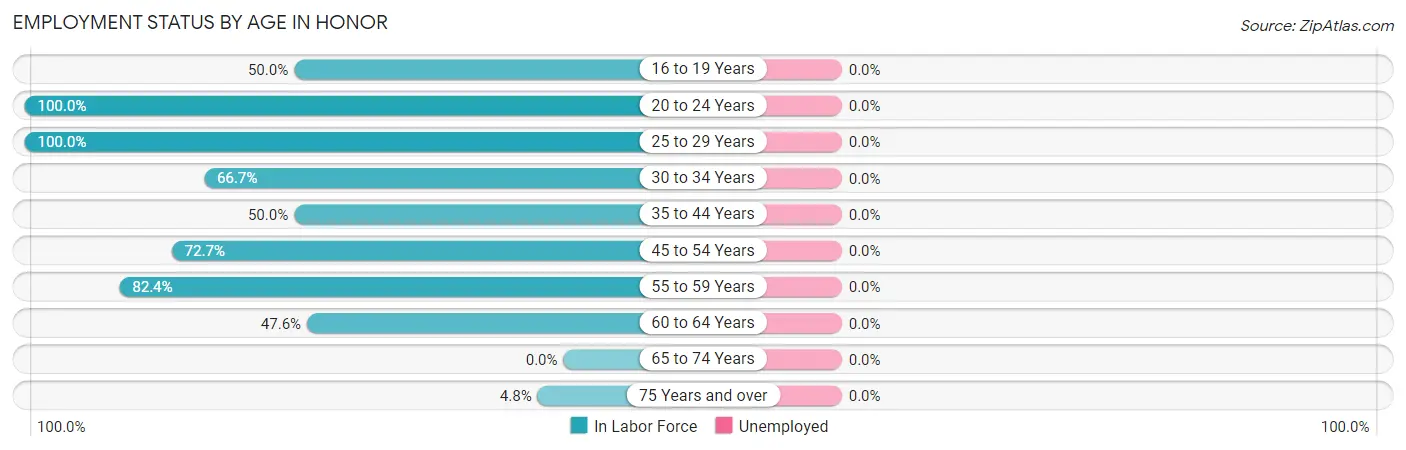 Employment Status by Age in Honor