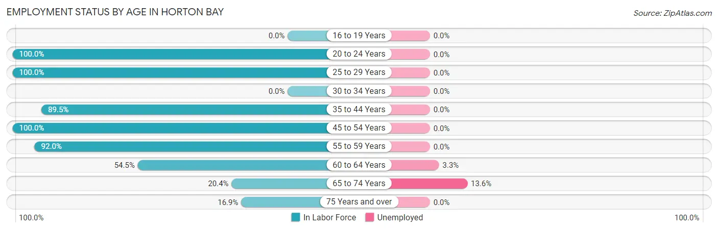 Employment Status by Age in Horton Bay