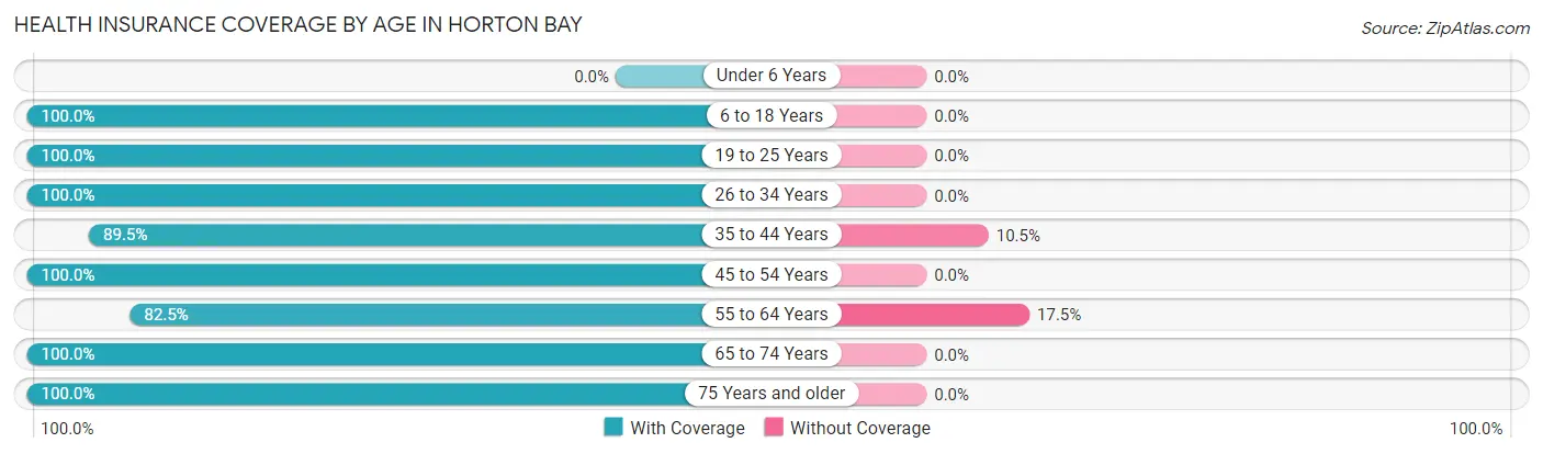 Health Insurance Coverage by Age in Horton Bay