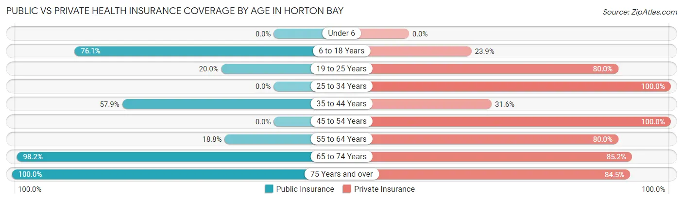 Public vs Private Health Insurance Coverage by Age in Horton Bay