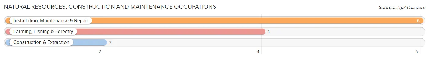 Natural Resources, Construction and Maintenance Occupations in Hubbard Lake