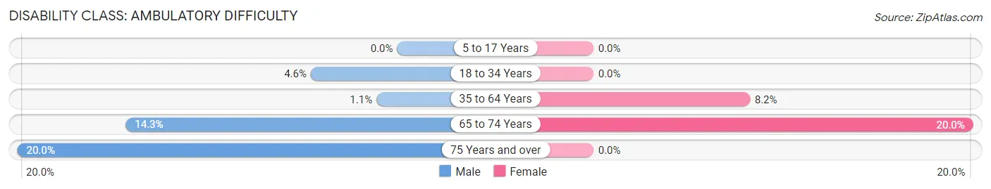 Disability in Hubbardston: <span>Ambulatory Difficulty</span>