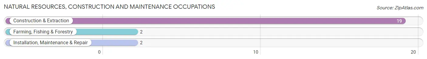 Natural Resources, Construction and Maintenance Occupations in Hubbardston