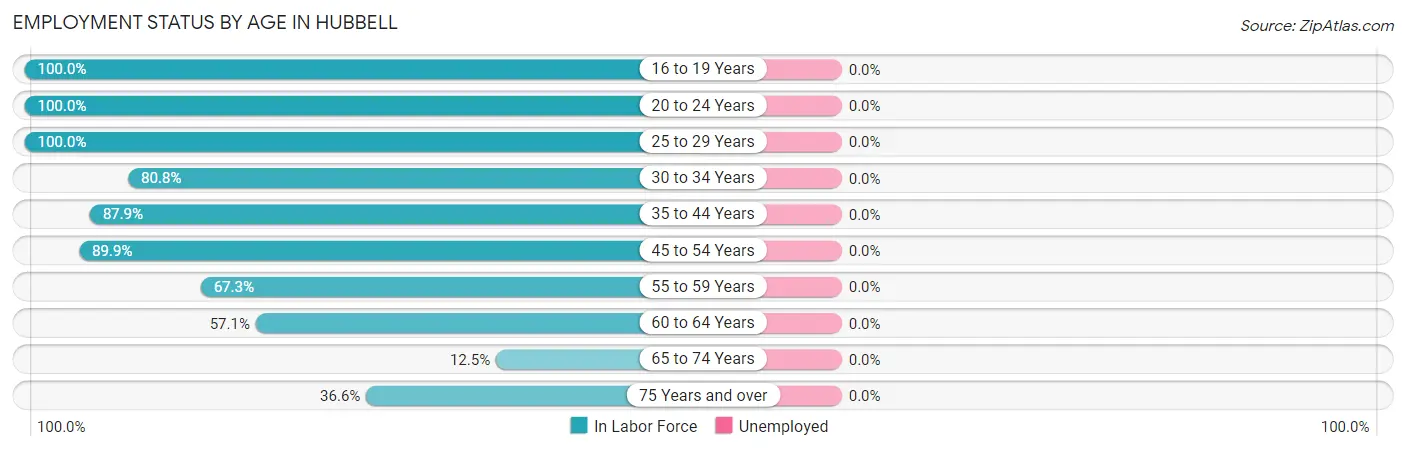 Employment Status by Age in Hubbell