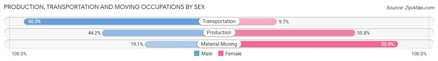 Production, Transportation and Moving Occupations by Sex in Imlay City