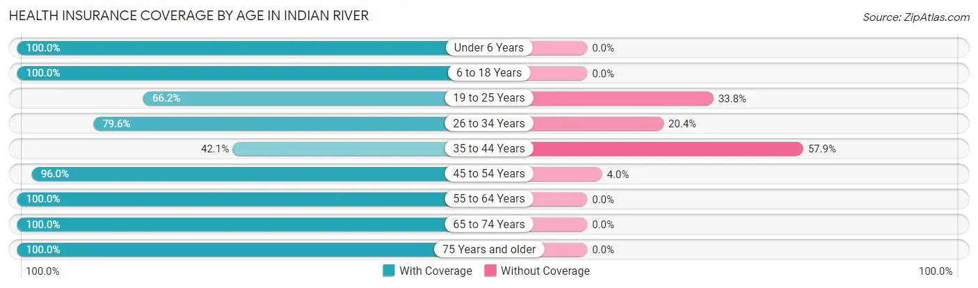 Health Insurance Coverage by Age in Indian River