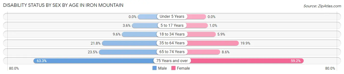 Disability Status by Sex by Age in Iron Mountain