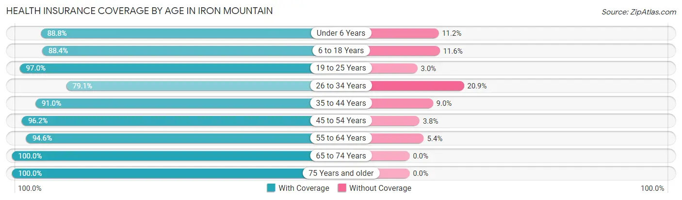 Health Insurance Coverage by Age in Iron Mountain
