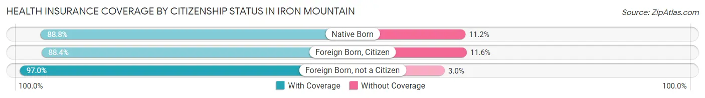 Health Insurance Coverage by Citizenship Status in Iron Mountain