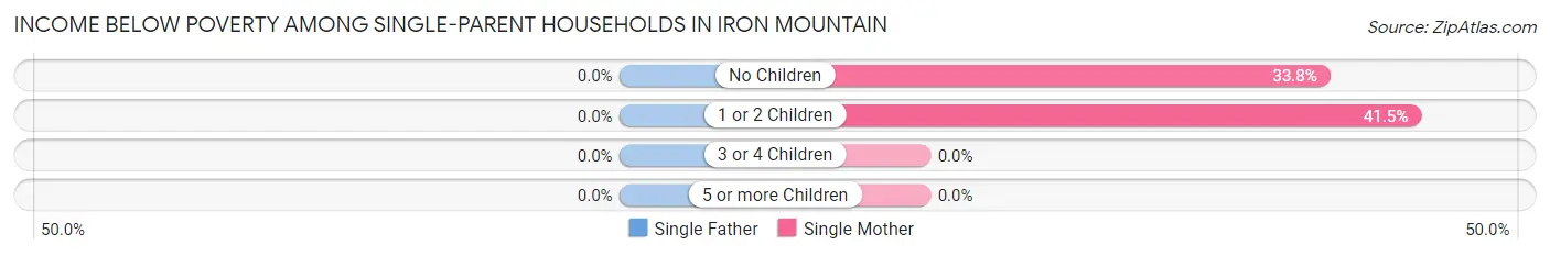 Income Below Poverty Among Single-Parent Households in Iron Mountain
