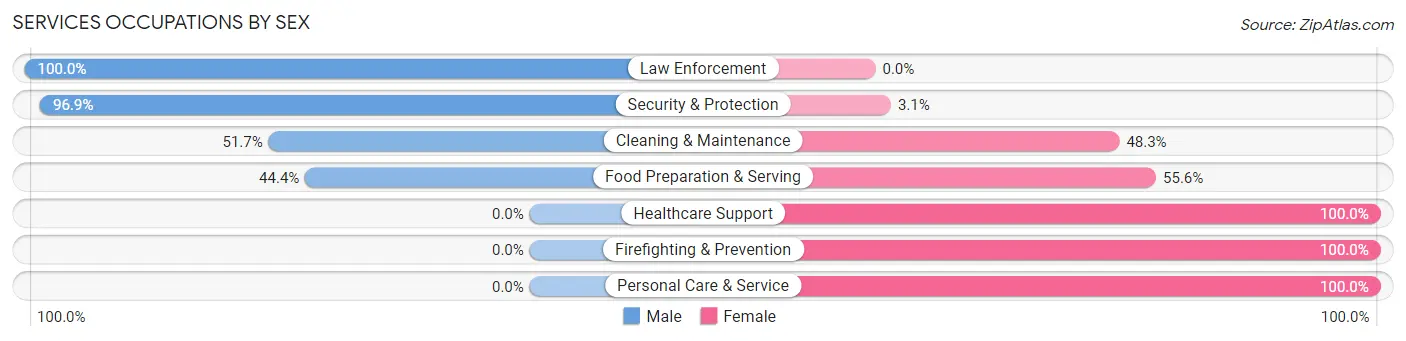 Services Occupations by Sex in Iron Mountain