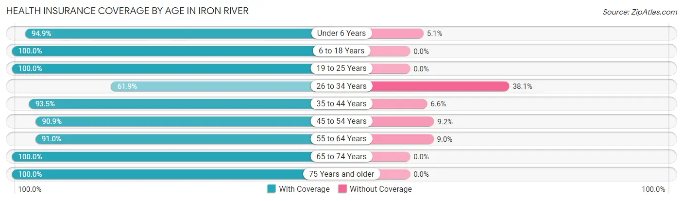 Health Insurance Coverage by Age in Iron River