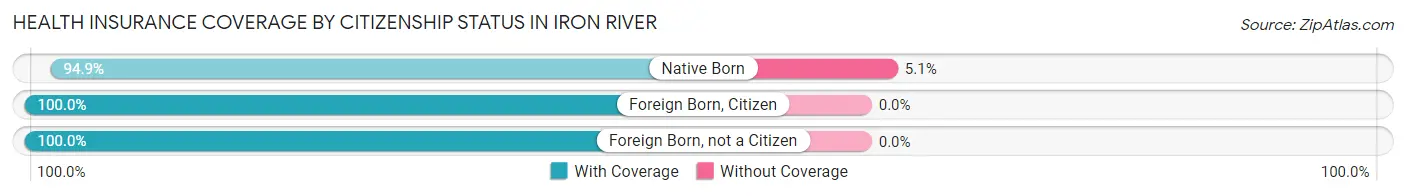 Health Insurance Coverage by Citizenship Status in Iron River