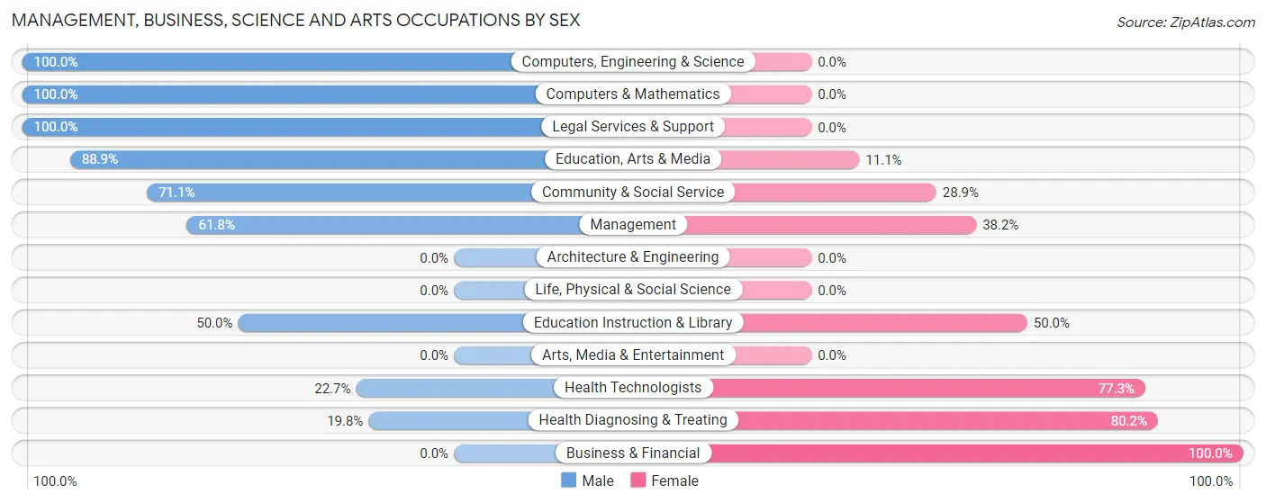 Management, Business, Science and Arts Occupations by Sex in Iron River