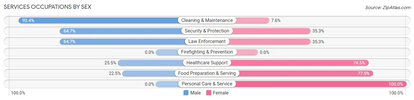 Services Occupations by Sex in Iron River