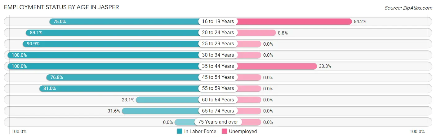 Employment Status by Age in Jasper