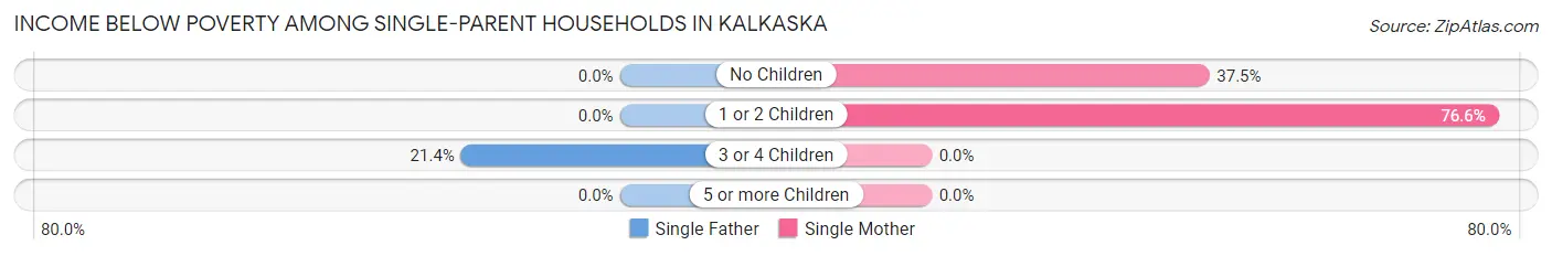Income Below Poverty Among Single-Parent Households in Kalkaska