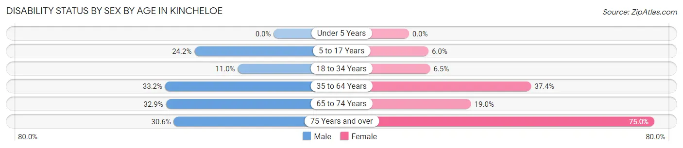 Disability Status by Sex by Age in Kincheloe