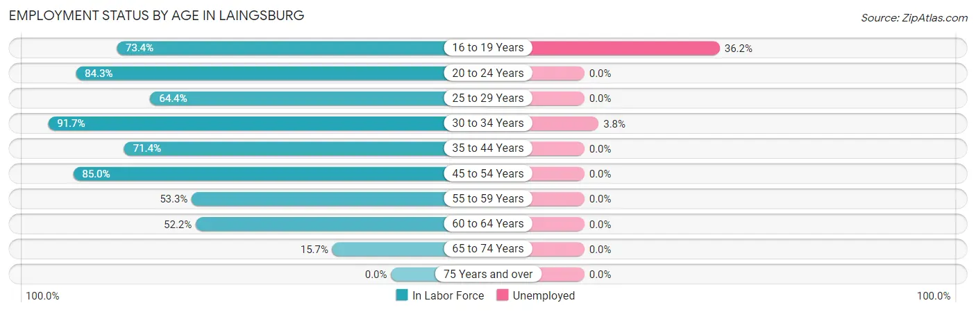 Employment Status by Age in Laingsburg