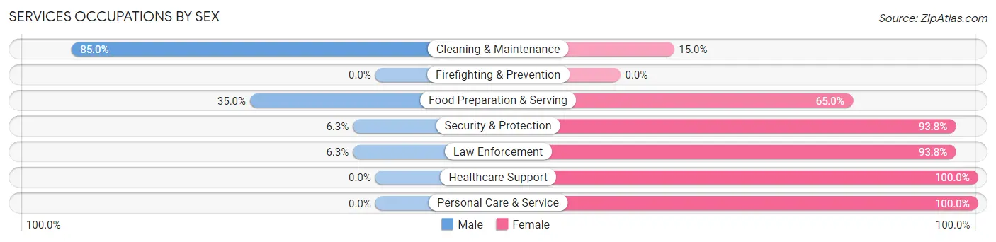 Services Occupations by Sex in Laingsburg