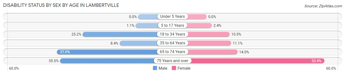Disability Status by Sex by Age in Lambertville