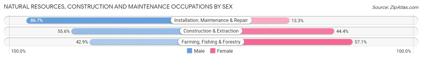 Natural Resources, Construction and Maintenance Occupations by Sex in Lawton