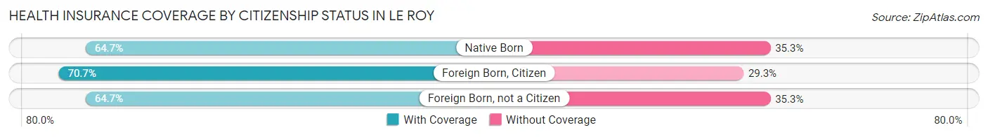 Health Insurance Coverage by Citizenship Status in Le Roy