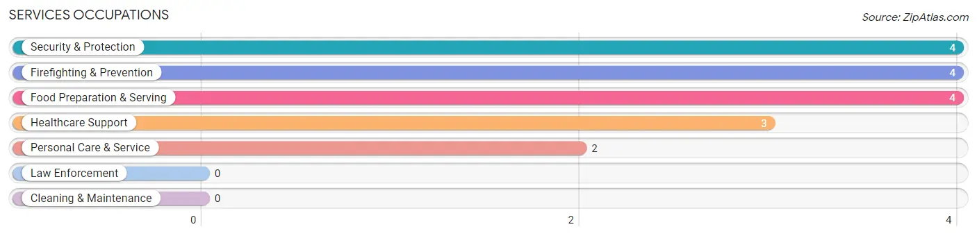 Services Occupations in Leonard