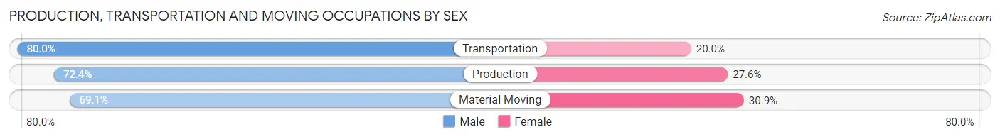 Production, Transportation and Moving Occupations by Sex in Level Park Oak Park