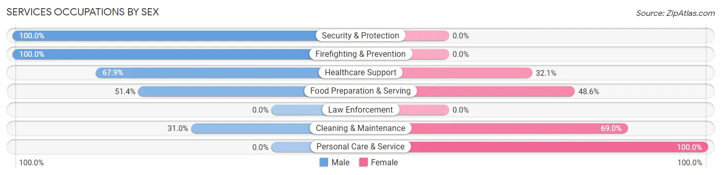 Services Occupations by Sex in Level Park Oak Park