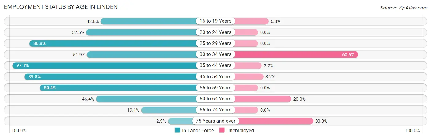 Employment Status by Age in Linden