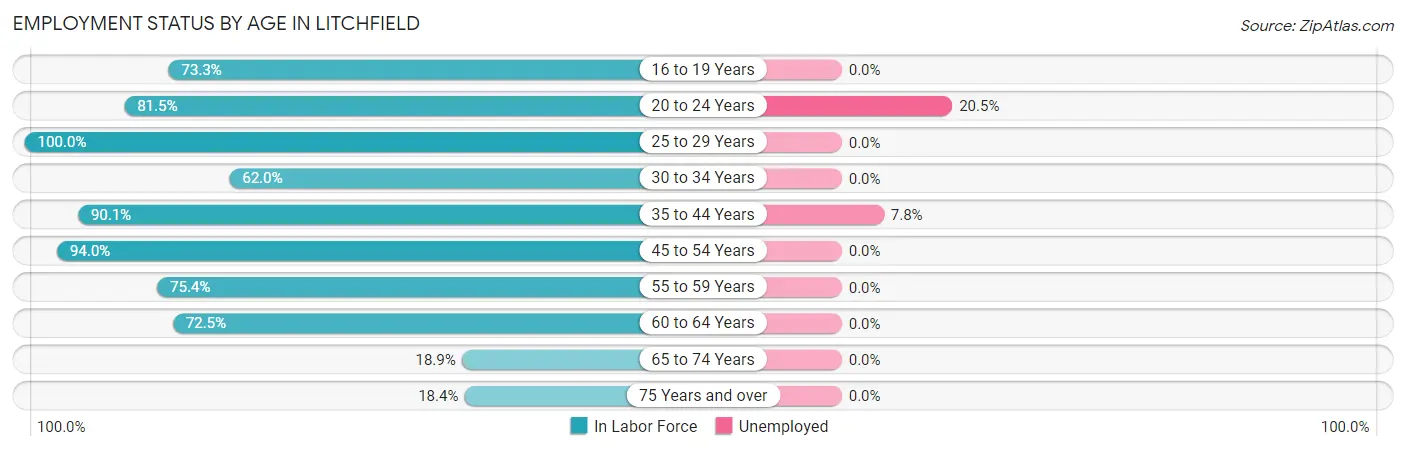 Employment Status by Age in Litchfield