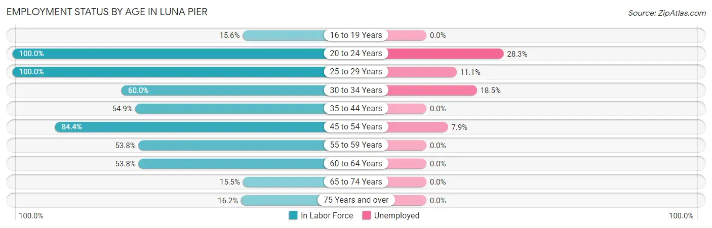 Employment Status by Age in Luna Pier